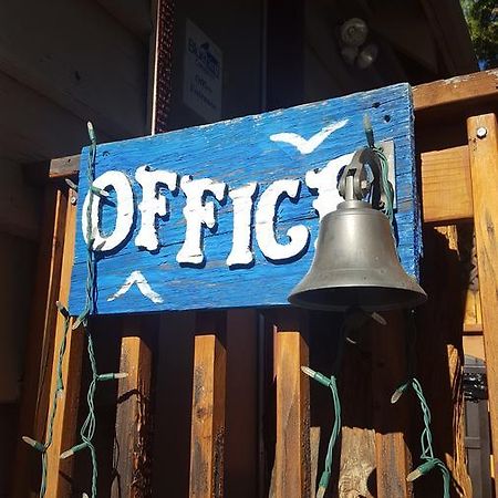 Bluebird Cottage Inn Idyllwild Exterior foto