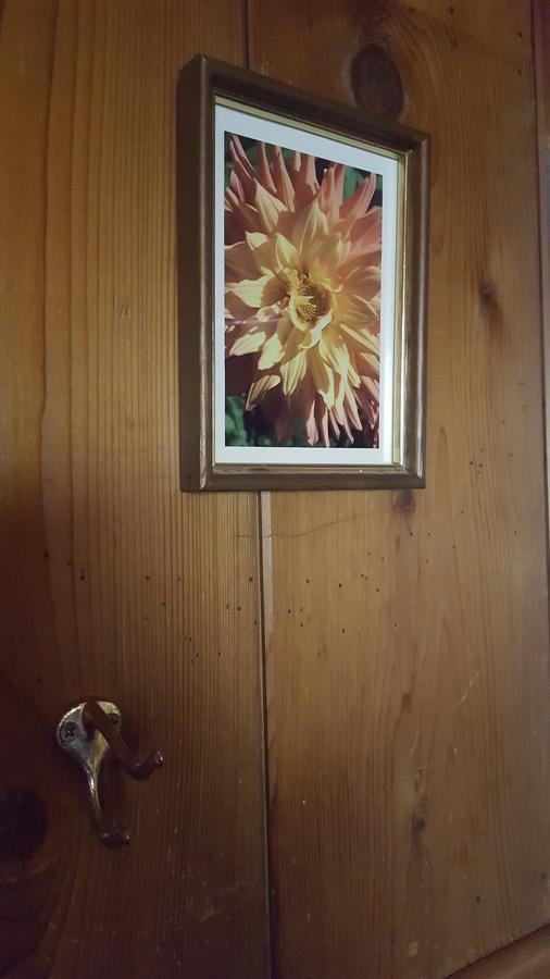 Bluebird Cottage Inn Idyllwild Exterior foto